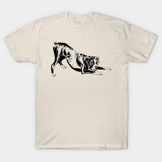 boxer dog T-Shirt by VicaVeresk